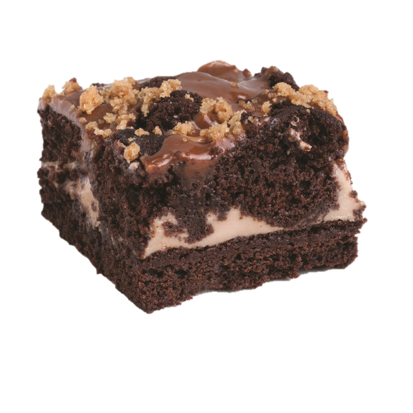 Caramel Brownie Square